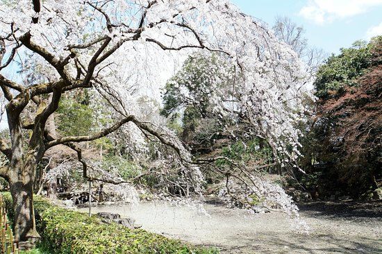 Palacio Imperial de Kioto